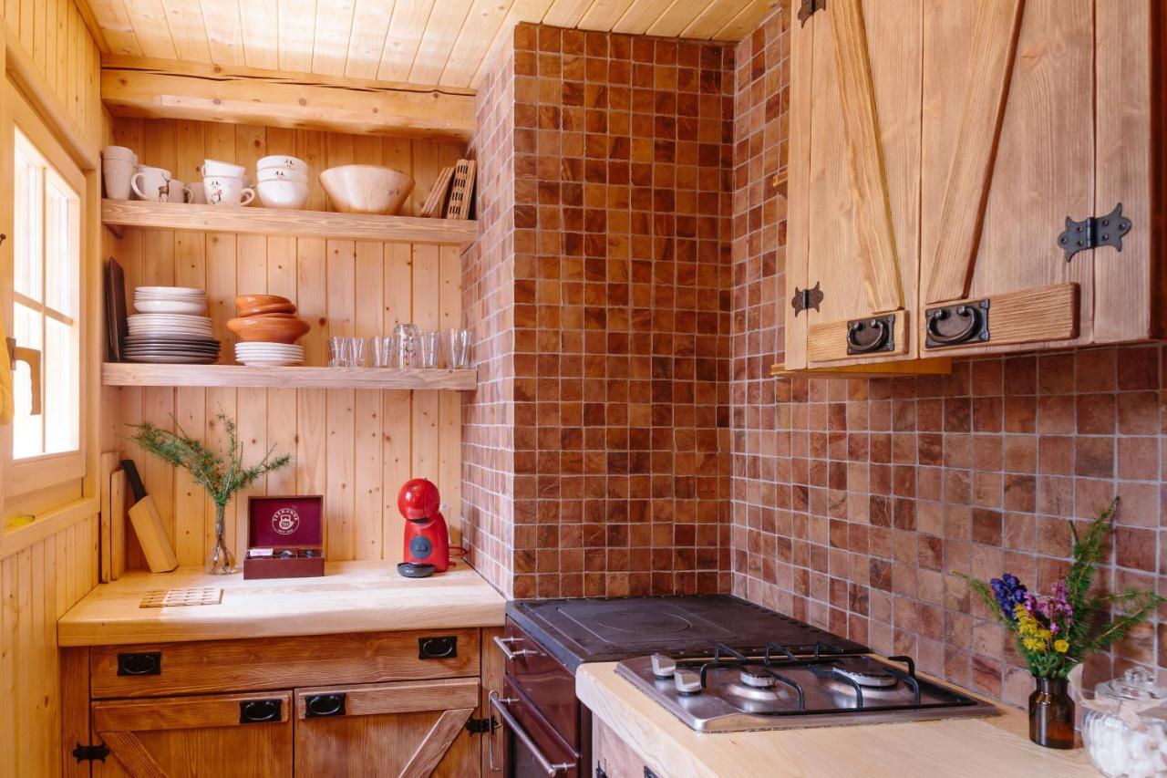 Chalet Orlica Velika Planina Stahovica Buitenkant foto